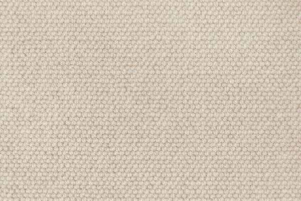 Ivory 22