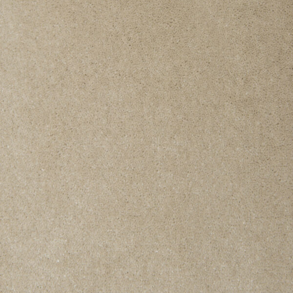 Chamois 8903