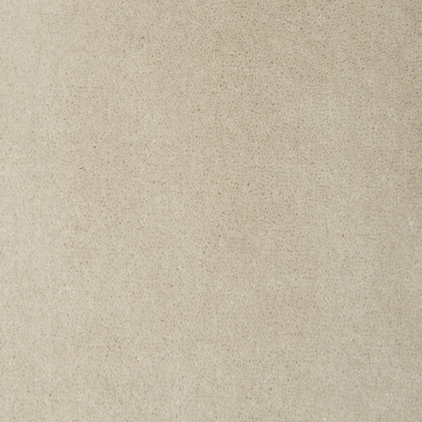 Nutmeg 8913
