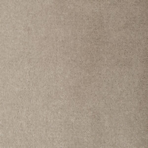 Pumice 8914