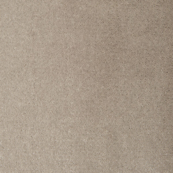 Pumice 8914