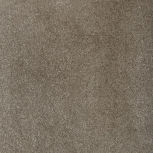 Turtle Dove 8904