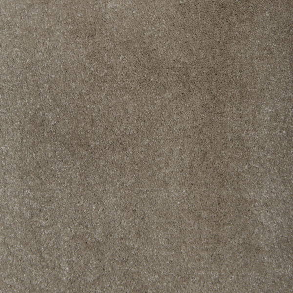 Turtle Dove 8904