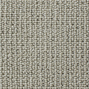 Zircon 2454