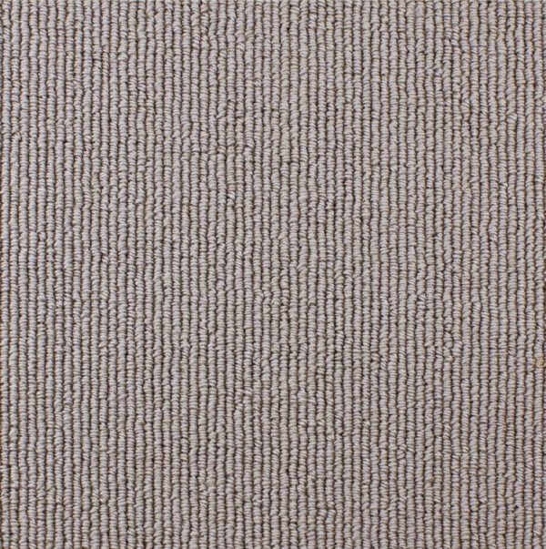 Turtle Dove 2005
