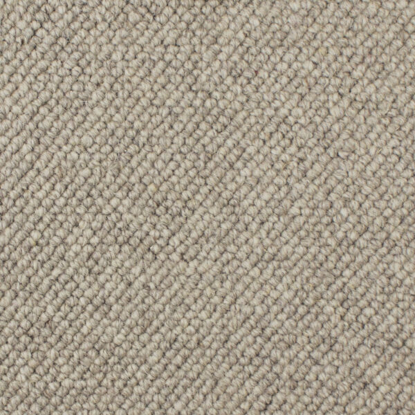 Pebble 2