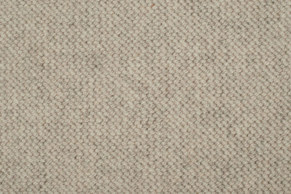 Warm Beige