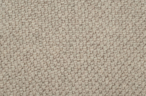 Warm Beige