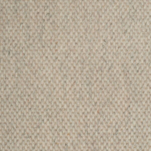 Warm Beige