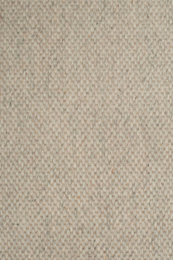 Warm Beige