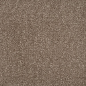 Beige Intenso