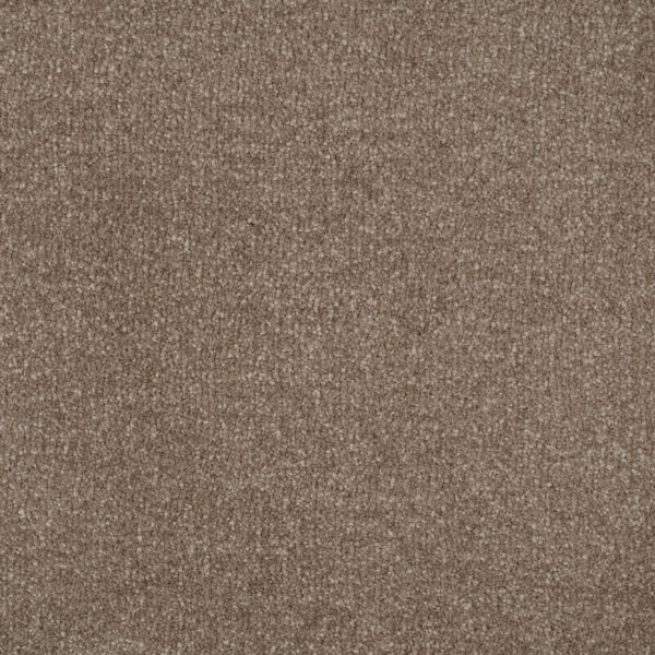Beige Intenso