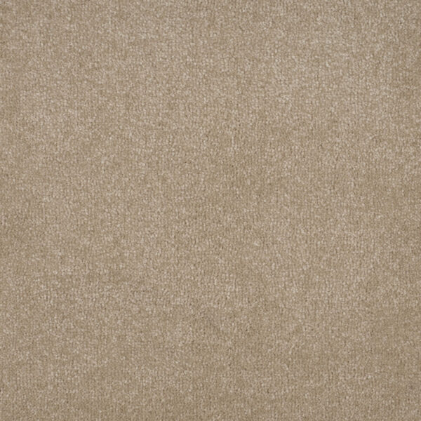 Macadamia