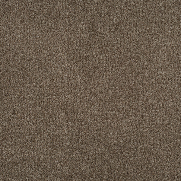 Thatch Brown