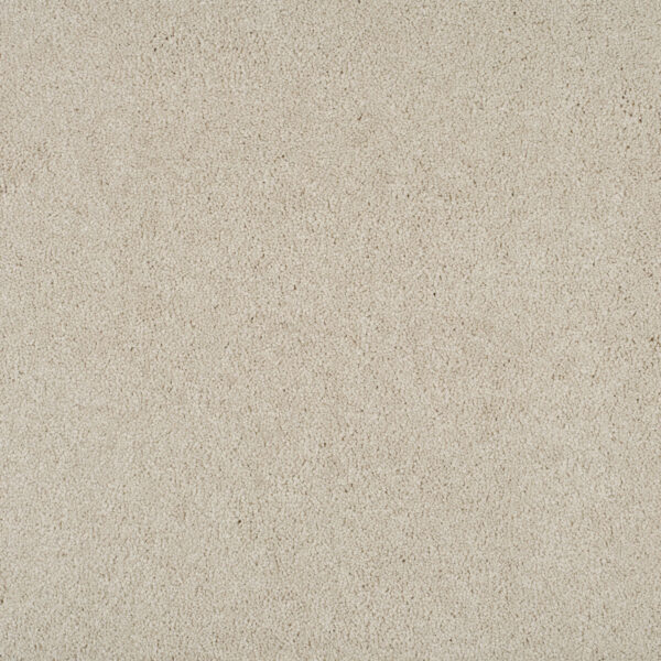 Arcade White