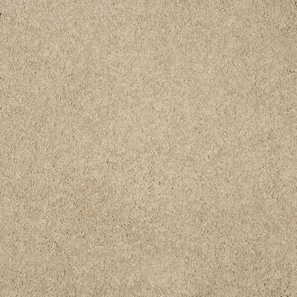 Ibis White