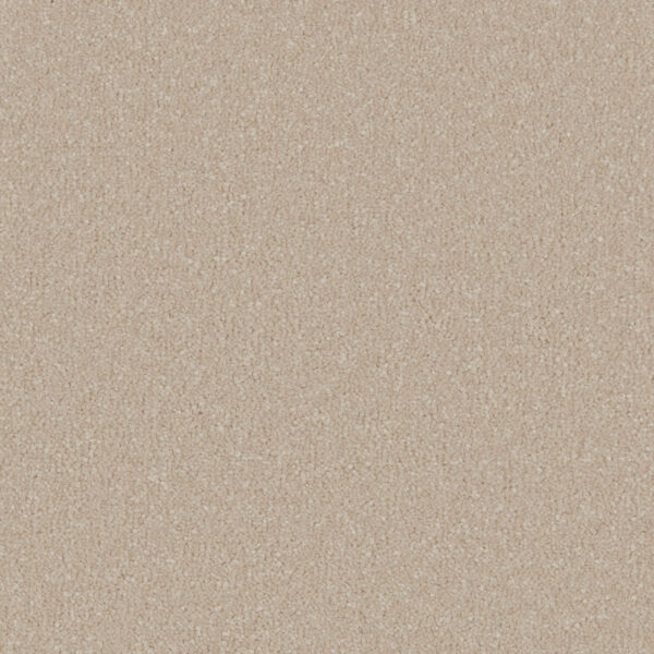 Antique White