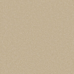 Sand Dune