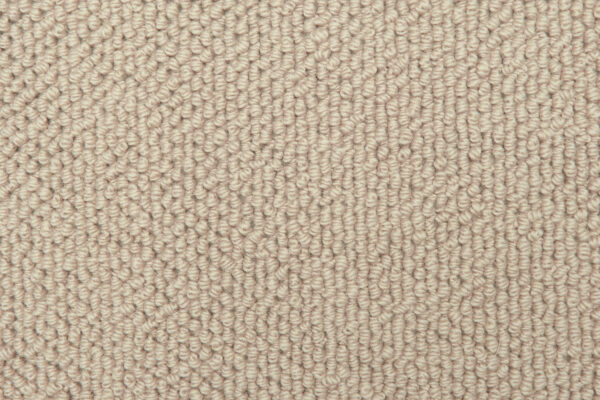 Warm Beige
