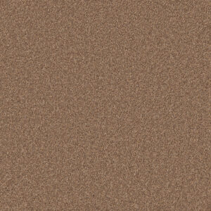 Pecan