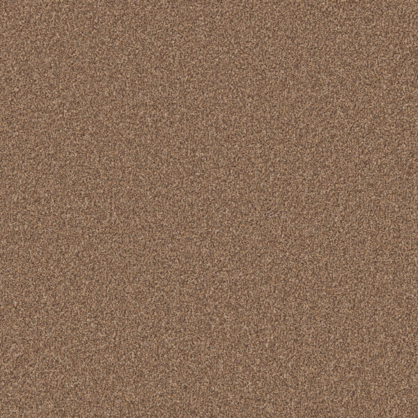 Pecan