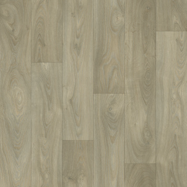 Maple Oak