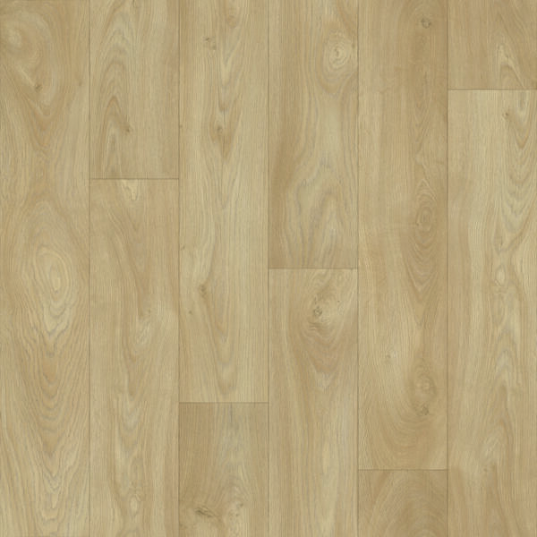 Merlot Oak